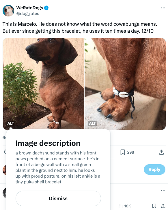 social media accessibility 